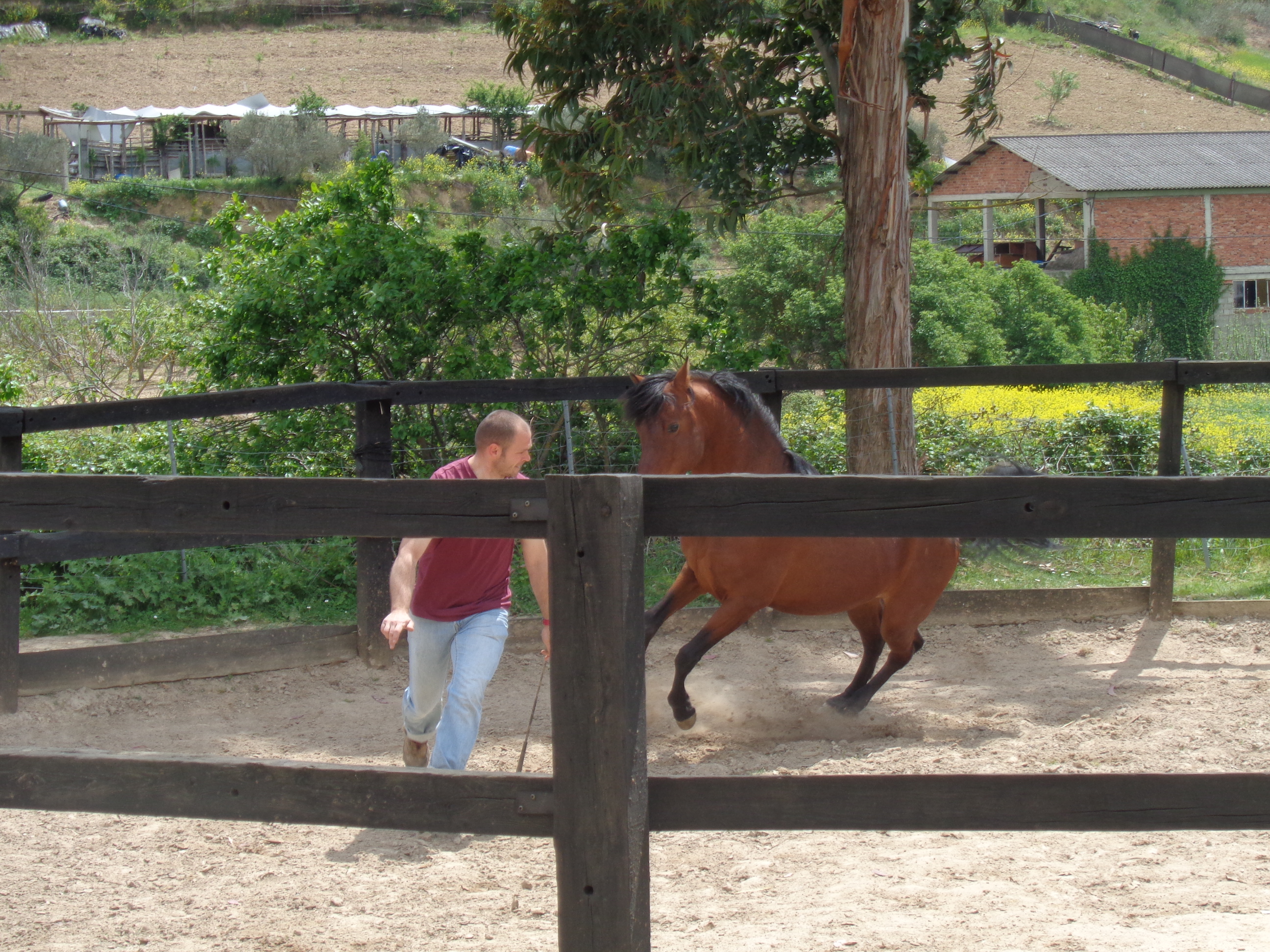 CLINIC COMUNICACI&Oacute;N NATURAL